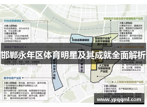 邯郸永年区体育明星及其成就全面解析