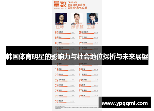 韩国体育明星的影响力与社会地位探析与未来展望
