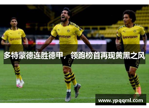 多特蒙德连胜德甲，领跑榜首再现黄黑之风
