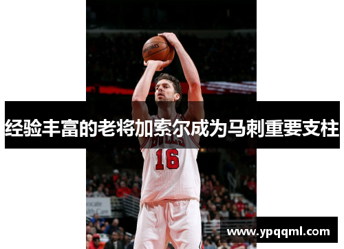 经验丰富的老将加索尔成为马刺重要支柱