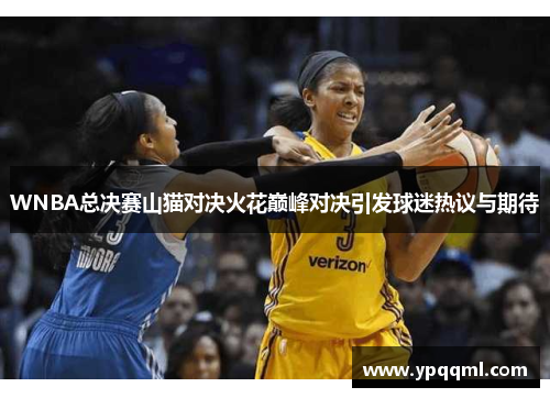 WNBA总决赛山猫对决火花巅峰对决引发球迷热议与期待